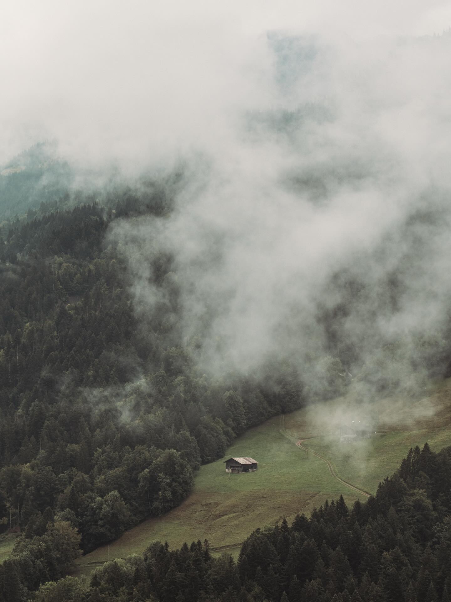Dans les grands espaces
Seul, au cœur de la montagne
Aimer le grand tout.
#photographechartres #chartres #chartresexperience #chartresmaville #reikichartres #macrophotography #macrooftheday #grandbornand #hautesavoie #hautesavoiexperience #aravismountains #landscapephotography #poetry_addicts #haikuofinstagram #haikuoftheday #dronephotooftheday