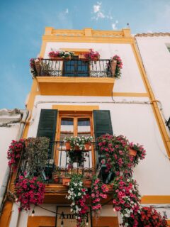 Ciel azuréen
Des fleurs sur chaque balcon
Ibiza - amour
#ibiza #ibiza❤️ #ibizasunset #ibizastyle #eivissa #eivissa🇪🇸 #colorfulart #architecture #archilovers #architecturephotographylovers #ibizalovers #ibizalovers🍒☀️☀️🌴 #iphonephotooftheday #iphonephotographer #reikimaster #reikichartres #chartres #chartresmaville #haikuofinstagram #haikupoetry