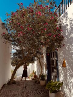 Le ciel, les oiseaux et l’amoureuse.
#ibiza #ibiza❤️ #ibizasunset #ibizastyle #eivissa #eivissa🇪🇸 #colorfulart #architecture #archilovers #architecturephotographylovers #ibizalovers #ibizalovers🍒☀️☀️🌴 #iphonephotooftheday #iphonephotographer #reikimaster #reikichartres #chartres #chartresmaville #haikuofinstagram #haikupoetry