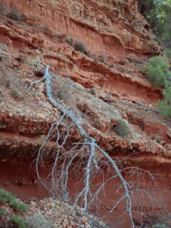 Ceci n’est pas le Colorado.
#ibiza #ibiza❤️ #ibizasunset #ibizastyle #eivissa #eivissa🇪🇸 #colorfulart #architecture #archilovers #architecturephotographylovers #ibizalovers #ibizalovers🍒☀️☀️🌴 #iphonephotooftheday #iphonephotographer #reikimaster #reikichartres #chartres #chartresmaville #haikuofinstagram #haikupoetry
