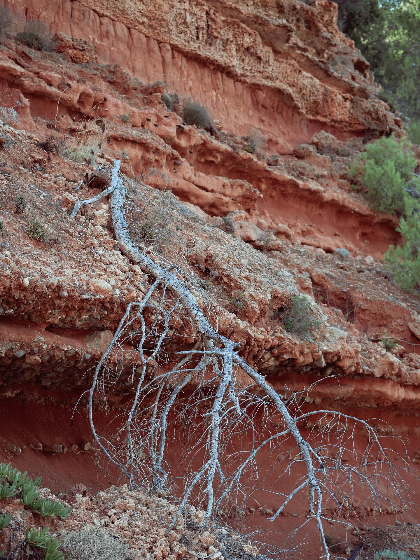 Ceci n’est pas le Colorado.
#ibiza #ibiza❤️ #ibizasunset #ibizastyle #eivissa #eivissa🇪🇸 #colorfulart #architecture #archilovers #architecturephotographylovers #ibizalovers #ibizalovers🍒☀️☀️🌴 #iphonephotooftheday #iphonephotographer #reikimaster #reikichartres #chartres #chartresmaville #haikuofinstagram #haikupoetry